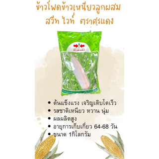 ข้าวโพดข้าวเหนียวลูกผสมสวีทไวท์25F1(1ก.ก)