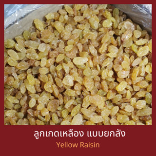 ลูกเกดเหลือง ยกลัง 10 กิโลกรัม  Yellow Raisin 10 kg