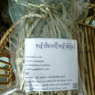 หญ้ารีแพร์(หญ้าฮียุ่ม)