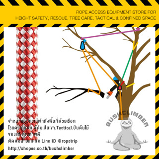 เชือกสำหรับโยงกิ่งไม้ ส่งกิ่งไม้ Tree Rigging Line 12mm ยาว 50เมตร