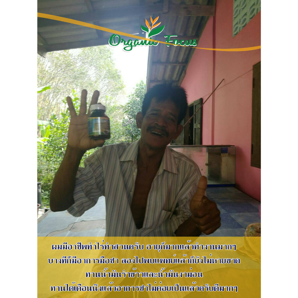 Organicfocus น้ำมันรำข้าว และน้ำมันงาม่อน 60 เม็ด 1,000 มิลลิกรัม/เม็ด ดีที่สุดอันดับ 1 *ราคาพิเศษ* - รูปที่ 7