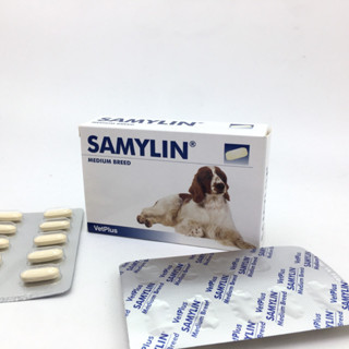 SAMYLIN Medium Breed อาหารเสริมบำรุงตับ สำหรับสุนัข