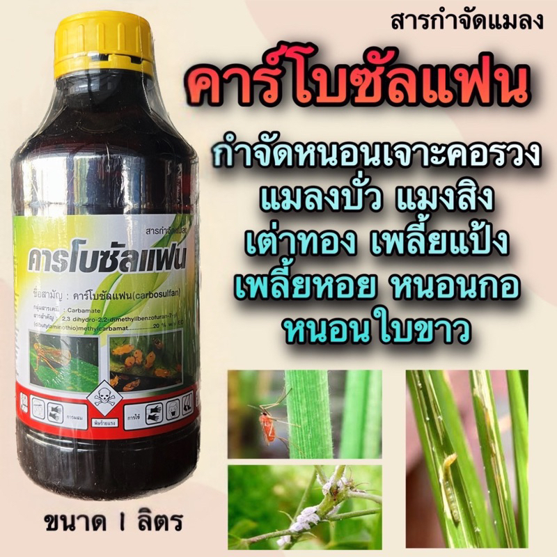 Carbosulfan 20% EC (ဆီဖော်မြူလာ) 1 လီတာ စပိုးယားပိုးများနှင့် ပိုးကောင်များ (ကော်ရွန်းဖောက်ပိုး) အပါအဝင် ဖျက်ဆီး