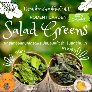 [Paws-sible] Rodent Garden: Organic Salad Greens ผักสลัดออแกนิก ผักอบแห้งสำหรับสัตว์ฟันแทะ