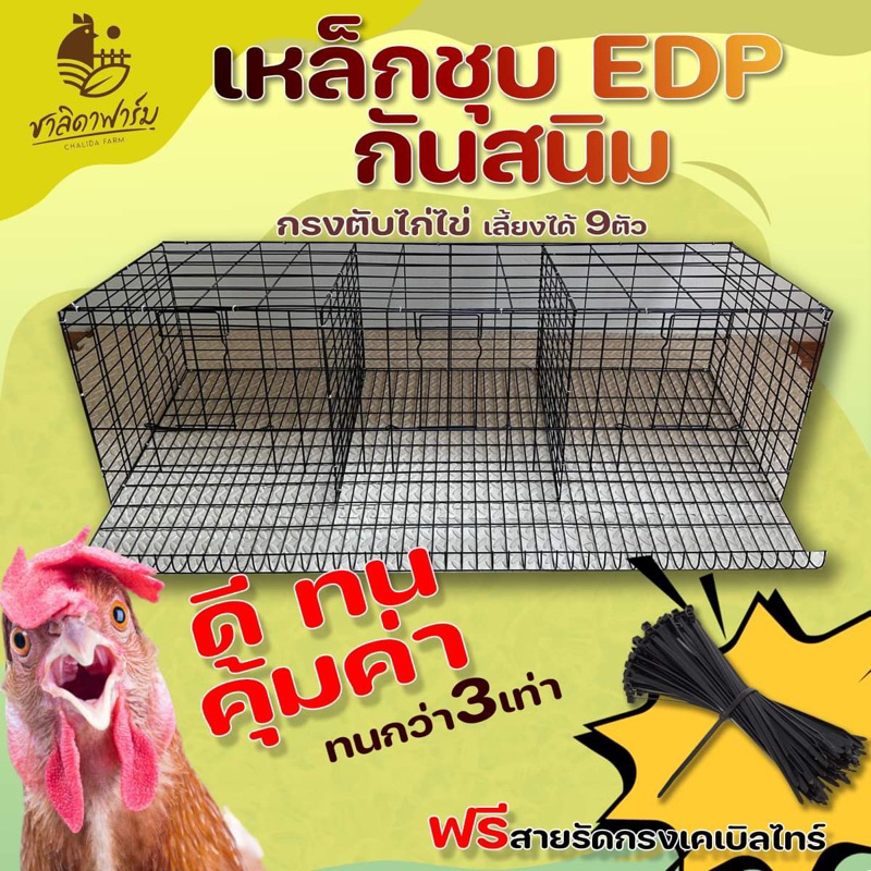 กรงตับไก่ไข่ เฉพาะกรง เหล็กชุบ EDP สีดำกันสนิม ใส่ไก่ได้9ตัว กรงไก่ กรงไก่ไข่ กรงตับ กงตับ Hen cage 