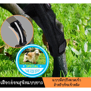 เฝือกอ่อนสุนัข มีสปริงดามเท้า แบบยาว สำหรับข้อเท้าหลัง [พร้อ…