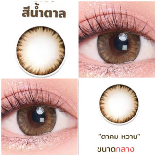 ✨Bigeye Brown สีน้ำตาล ลายขายดี✨ ขนาดตาโต คอนเเทคเลนส์ บิ๊กอาย สีน้ำตาล