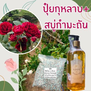 ปุ๋ยกุหลาบ🌹ปุ๋ยเม็ดสูตรผสม 500g.+สบู่กำมะถัน 500ml. เห็นผลไวX2 บำรุงต้นไม้ พร้อม กำจัดเพลี้ยไฟ รา เพิ่มสีสัน ดอกดกใหญ่