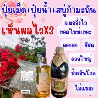 ปุ๋ยกุหลาบ ปุ๋ยผสมพิเศษ500g+น้ำยาสรรพรส+สบู่กำมะถัน เห็นผลไวX3 บำรุงต้น ดอกตรึม เร่งดอก เร่งโต ต้นแข็งแรง ไล่เพลี้ยแมลง