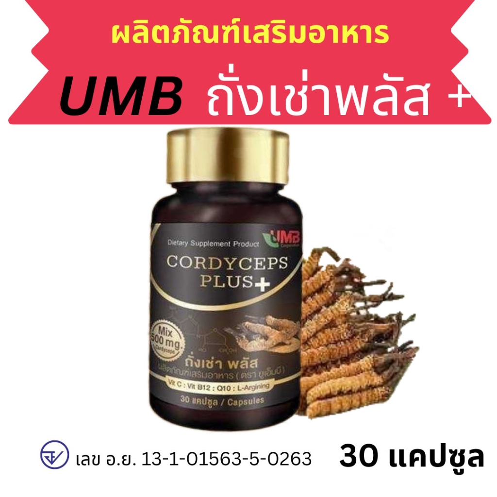 UMB Cordyceps Plus mix ผลิตภัณฑ์เสริมอาหาร ถั่งเช่า พลัส / 1 กระปุก 30 แคปซูล