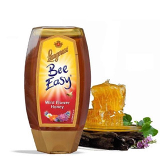 Langnese bee easy honey 250g. แลงนีส บีอีซี่ น้ำผึ้งจากดอกไม้ป่า นำเข้าจากเยอรมัน🇩🇪