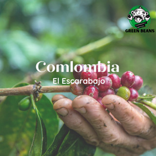 สารกาแฟ Colombia El Escarabajo