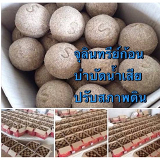 จุลินทรีย์ก้อน SM-ball หัวเชื้อเข้มข้นช่วยบำบัดน้ำเสีย ปรับสภาพดิน ของแท้โดยอาจารย์สามารถ นารถสูงเนิน(สูตรต้นตำรับ)