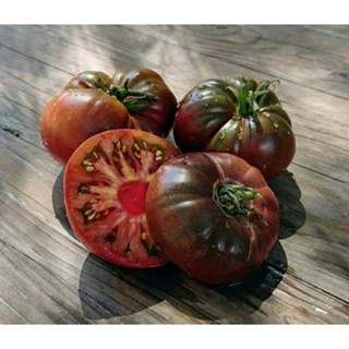 เมล็ดพันธุ์มะเขือเทศเนื้อ ทรู แบล็ค แบรนดี้ไวน์ (True Black Brandywine Tomato Seed)บรรจุ 15 เมล็ด ของแท้ คุณภาพดี นำเข้า