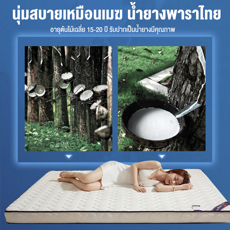 BONAS ที่นอนยางพาราแ