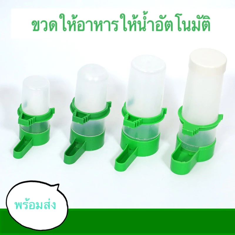 ขวดให้อาหารให้น้ำนกอัตโนมัติ อุปกรณ์สำหรับนกแก้ว 🦜