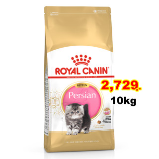 Royal canin persian kitten 10 kg. สูตรลูกแมวเปอร์เซีย 10กก. Exp:03/2024