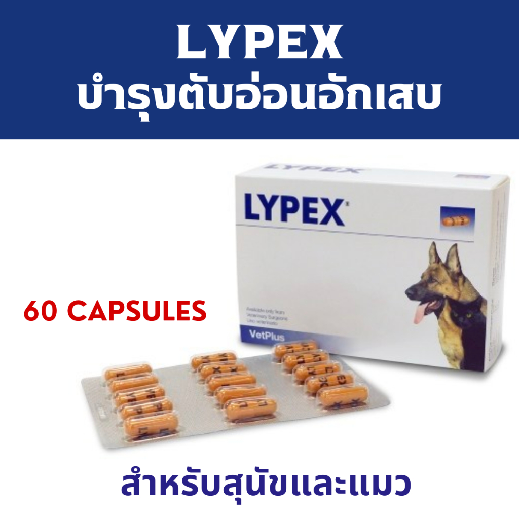 LYPEX ไลเป็กซ์ เสริมการย่อยอาหารสำหรับสุนัขและแมวที่เป็นโรคตับอ่อนเรื้อรัง บรรจุ 15 แคปซูล