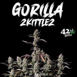 เมล็ดกัญชา Gorilla Zkittlez บีดไทย เมล็ดพันธุ์กัญชา สายพันธุ์แท้ พร้อมส่ง 1 ชุด 3 เมล็ดไม่งอก เคลมฟรี 1 ครั้ง