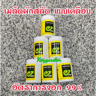 เมล็ดพันธุ์ผักสลัด แบบเมล็ดเคลือบ ENZA ZADEN อัตราการงอก 99% แบ่งบรรจุ 20เมล็ด