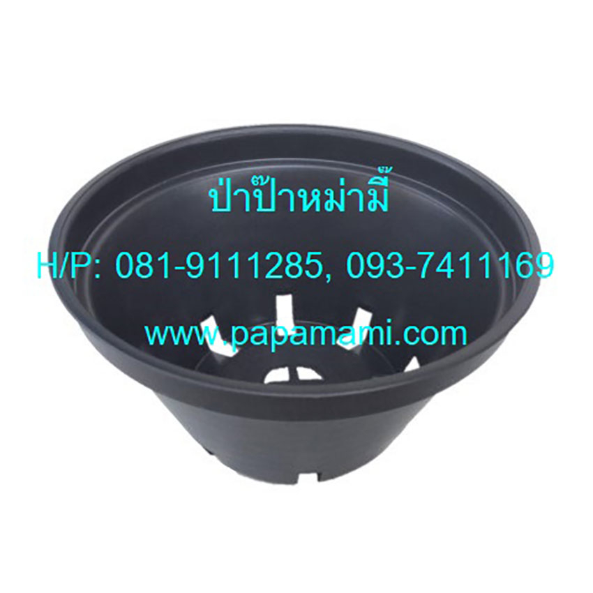 (10ใบ)papamami กระถาง 6 นิ้ว ทรงชาม ทรงเตี้ย กระถางแคคตัส กระถางปลูกตอ กระถางกระบองเพชร กระถางพลาสติ