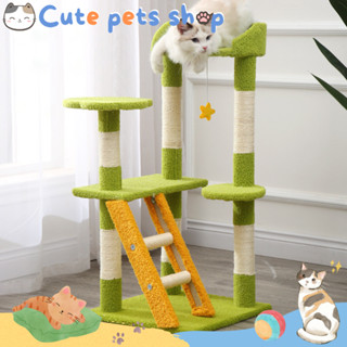 คอนโดแมว คอนโดแมวราคาถูก กรอบปีนแมว ที่นอนแมว ของเล่นแมว เสาลับเล็บแมว cat tree condo house คอนโดลับเล็บแมว บ้านแมว