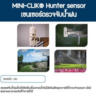 Rain Sensor Hunter Mini-Clik เซนเซอร์ตรวจจับปริมาณน้ำฝน Hunter