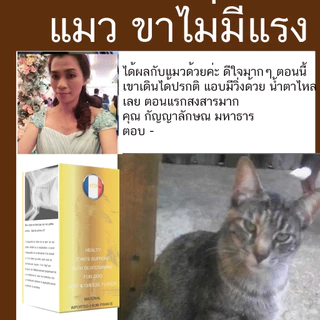 Calfle X แมว 30 เม็ด อาหารเสริมสำหรับแมว ขาไม่มีแsง