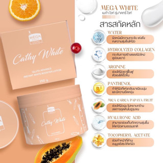 เมก้า เคทรี่ ไวท์ ครีมเข้มข้นสูตรเร่งผิวขาว MEGA cathy white Lotion 250g.