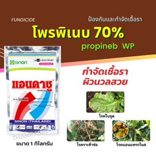 โพรพิเนบ 70%(ตัวเดียวกับ แอนทราโคล) ป้องกันกำจัดเชื้อรา ราเข้าช่อดำ ราน้ำค้าง แอนแทรกโนส ขัดผิวผลผลิต มีZn ขนาด1กิโลกรัม