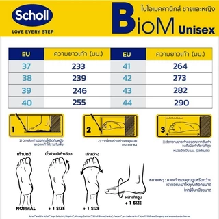 Scholl bean biomechanics รองเท้าสกอลล์คีบ รุ่นบีน ไบโอเมคานิกส์