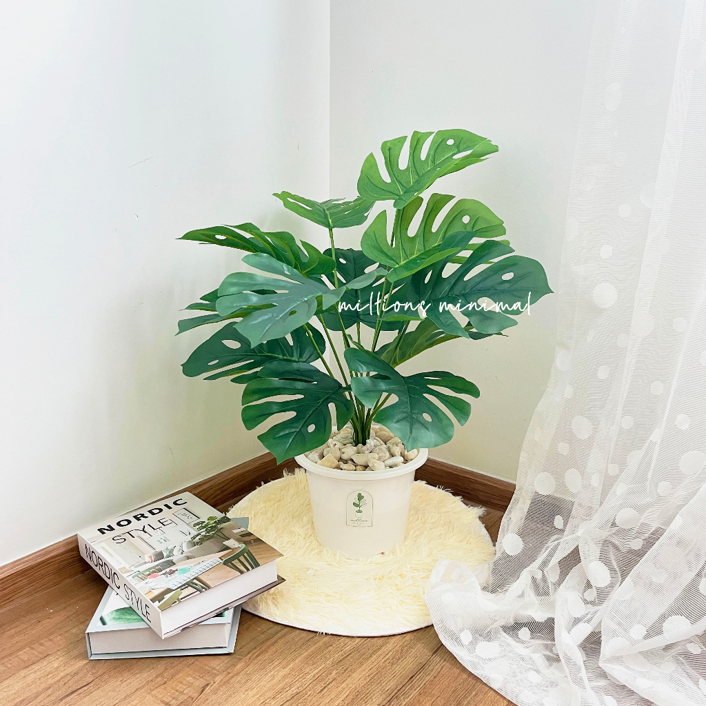 ราคาถูกที่สุด ต้นไม้ปลอม ต้นไทรใบสัก ต้นมอนสเตอล่า พร้อมกระถางแถมฟรีหิน - รูปที่ 7