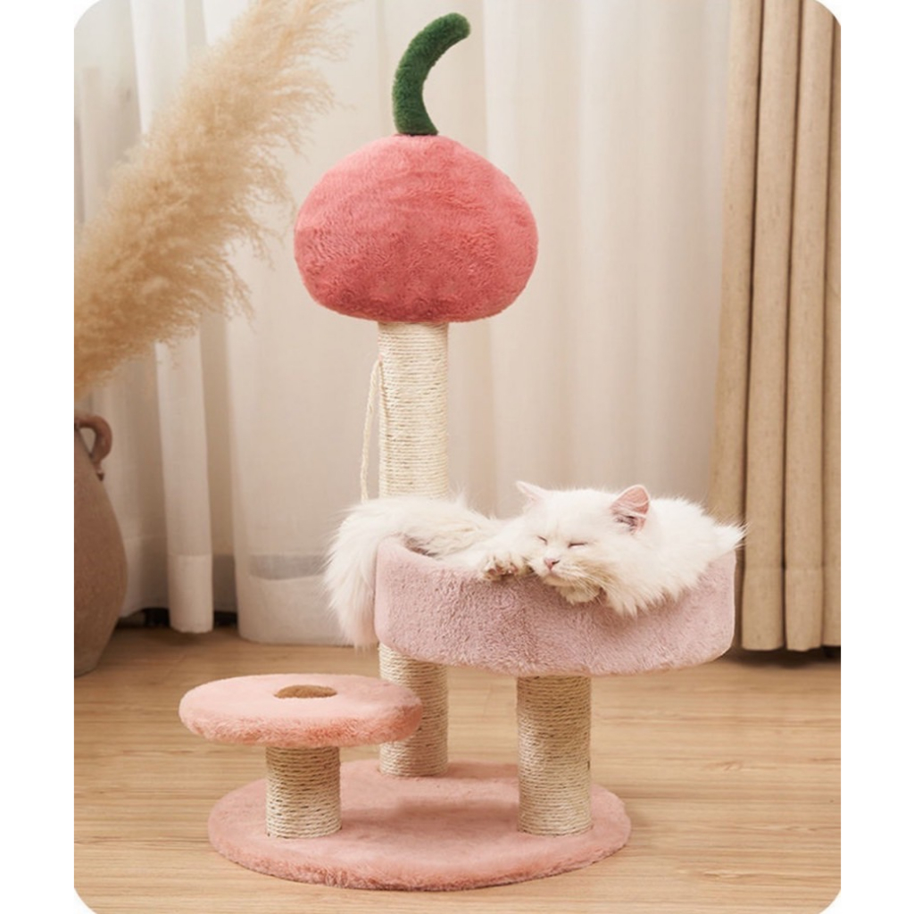 LCK008 คอนโดแมวพร้อมที่ขัดเล็บแต่งลูกพีชสีชมพู[5] B4-4