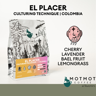 Colombia El Placer Caturra Culturing Technique (CM Washed) | เมล็ดกาแฟคั่ว MOTMOT COFFEE