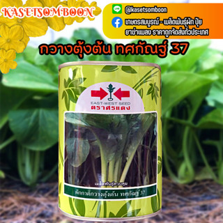 กวางตุ้งต้น ทศกัณฐ์ 37 เมล็ดพันธุ์ 500 ก. ตรา ศรแดง