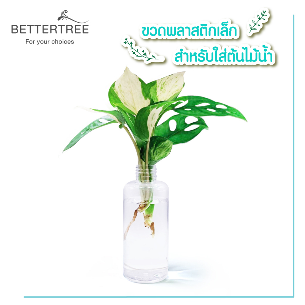 ขวดพลาสติกใสเนื้อหนา ใส่ไม้เลี้ยงน้ำได้(จำนวน 1 ขวด)  แจกัน ต้นไม้ ขวดพลาสติก - รูปที่ 2