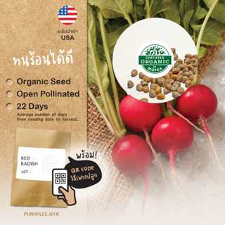 เมล็ดผักนำเข้า แรดิชสีแดง Red Radish (Organic Seed) หัวไชเท้าฝรั่ง ทรงกลม