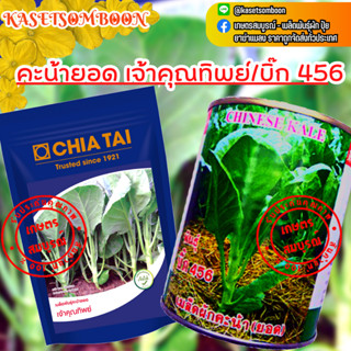 คะน้ายอด เจ้าคุณทิพย์/บิ๊ก 456 เมล็ดพันธุ์ 500 ก./1 กก. ตราเจียไต๋/ปลาวาฬ