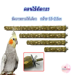 คอนไม้ คอนนก ที่ยืนนก คอนติดกรง ขอนไม้นก ตกแต่งกรงนก Bird นกแก้ว ฟอพัส หงส์หยก คอนัวร์ เลิฟเบิร์ด นกฟินซ์