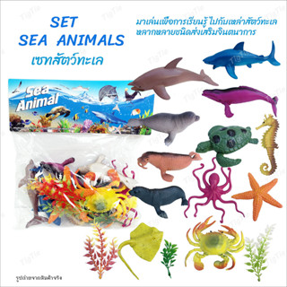 ชุดเรียนรู้สัตว์ในทะเล Sea Animal โมเดลสัตว์ทะเล 12 ตัว สัตว์ทะเลจำลอง งานมีน้ำหนัก แข็งแรง สีสวย