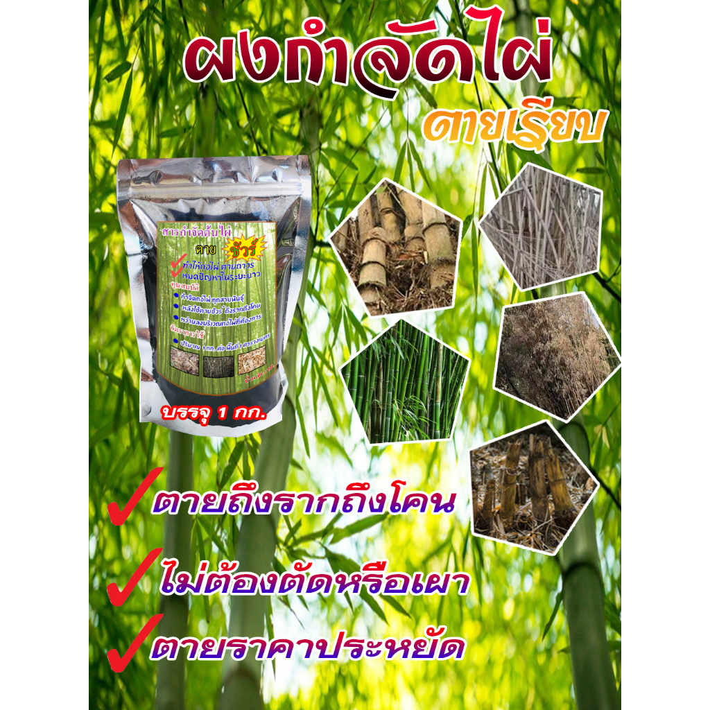 สารกำจัดก่อไผ่ น้ำหนัก 1.0 กิโลกรัม กำจัดต้นไผ่ตายถาวร ไม่มีเหลือ