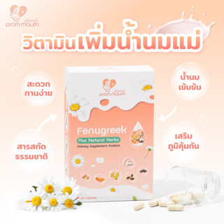 🔥ส่งฟรี! เพิ่มน้ำนม พร้อมหม่ำ(PROM MAUM)🍼บำรุงน้ำนม🍼เพิ่มน้ำนม🍼กู้น้ำนม🍼