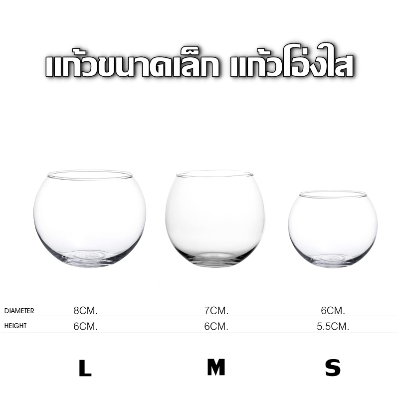 แก้วเป๊ก แก้วโอ่ง แก้วขนาดเล็ก