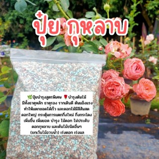 🌹ปุ๋ยกุหลาบ 🌿สูตรกระตุ้น การแตกกิ่งใหม่ของต้นไม้ 🌹1kg.🌹มีทั้งธาตุหลัก ธาตุรอง บำรุงได้ทั้งต้นไม้ทั่วไป