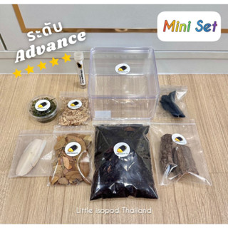 ชุดเลี้ยง Mini+ สำหรับเลี้ยงไอโซพอด บ้านไอโซพอด ระดับ Advance by Little isopod Thailand