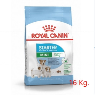 Royal canin Mini starter 16 kg อาหารแม่สุนัข และลูกสุนัขพันธุ์เล็ก ชนิดเม็ด