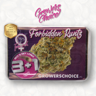 Forbidden Runtz (Photo) - Growers Choice เมล็ดกัญชา นำเข้าแท้100% เมล็ดเพศเมีย