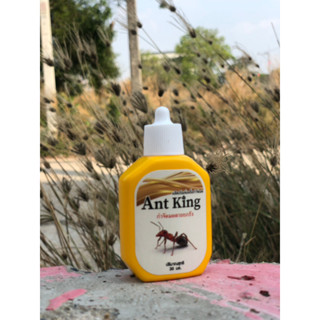 เหยื่อกำจัดมด Ant King