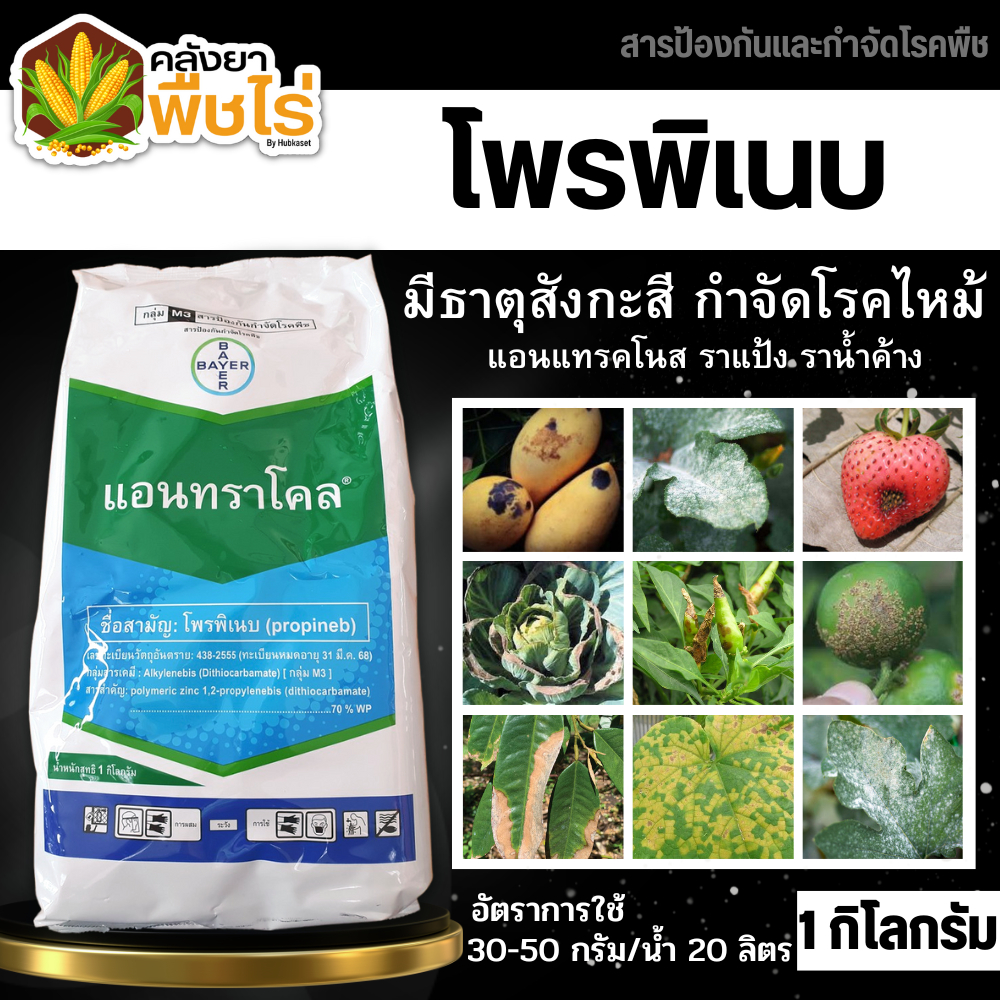 แอนทราโคล (โพรพิเนบ) 1กิโลกรัม ป้องกันกำจัดโรคใบจุดสีน้ำตาลที่มีสาเหตุมาจากเชื้อรา