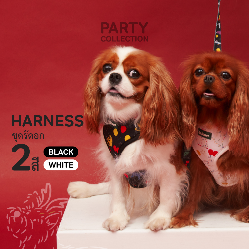 DR.PAW DOG & CAT HARNESS BLACK & WHITE สายรัดอกสุนัขและแมวคอลเลคชั่นแบล๊คแอนด์ไวท์